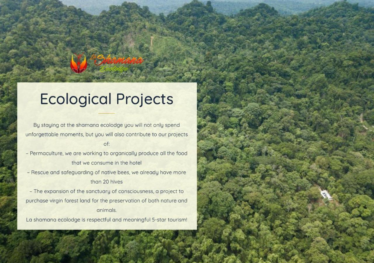 La Shamana - Ecological Concept In Jungle Villa กาอุยตา ภายนอก รูปภาพ