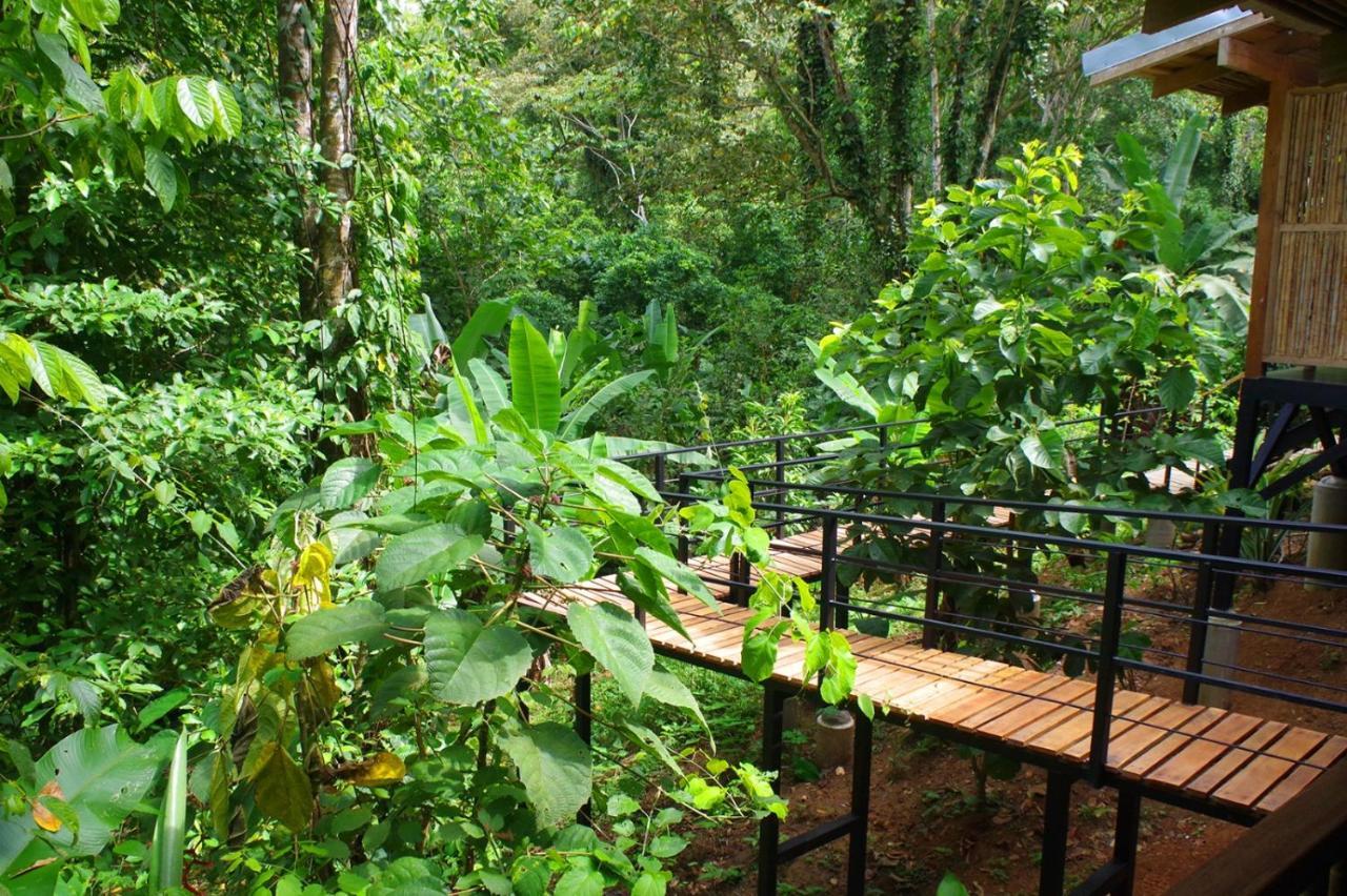 La Shamana - Ecological Concept In Jungle Villa กาอุยตา ภายนอก รูปภาพ