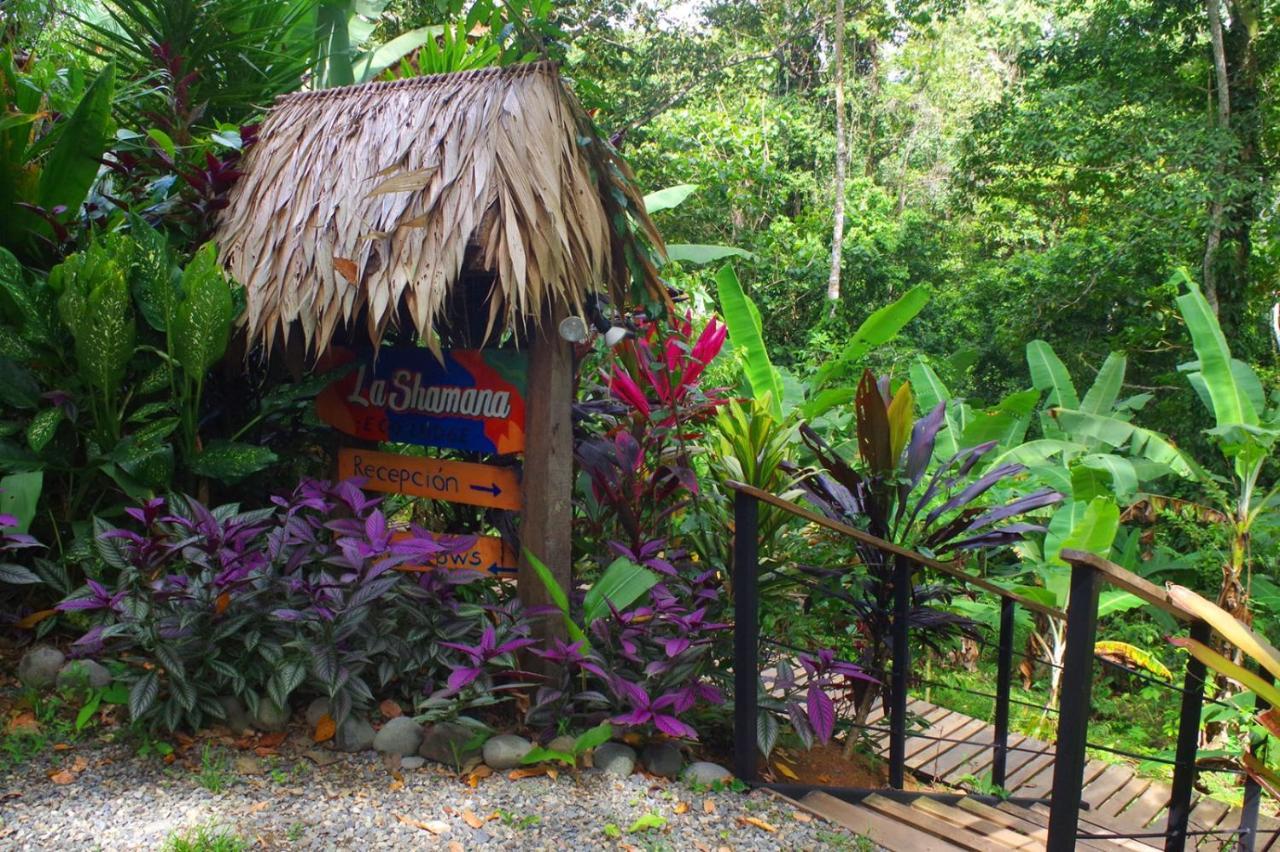 La Shamana - Ecological Concept In Jungle Villa กาอุยตา ภายนอก รูปภาพ