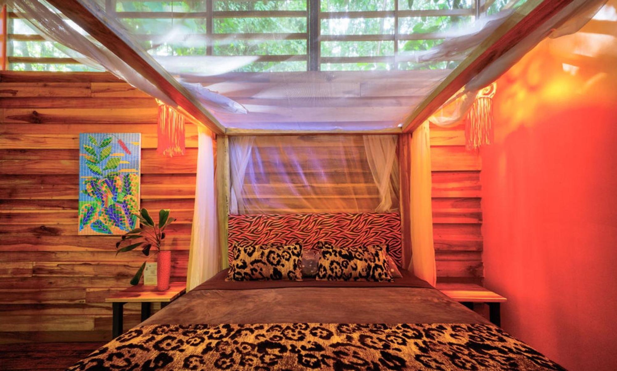 La Shamana - Ecological Concept In Jungle Villa กาอุยตา ห้อง รูปภาพ