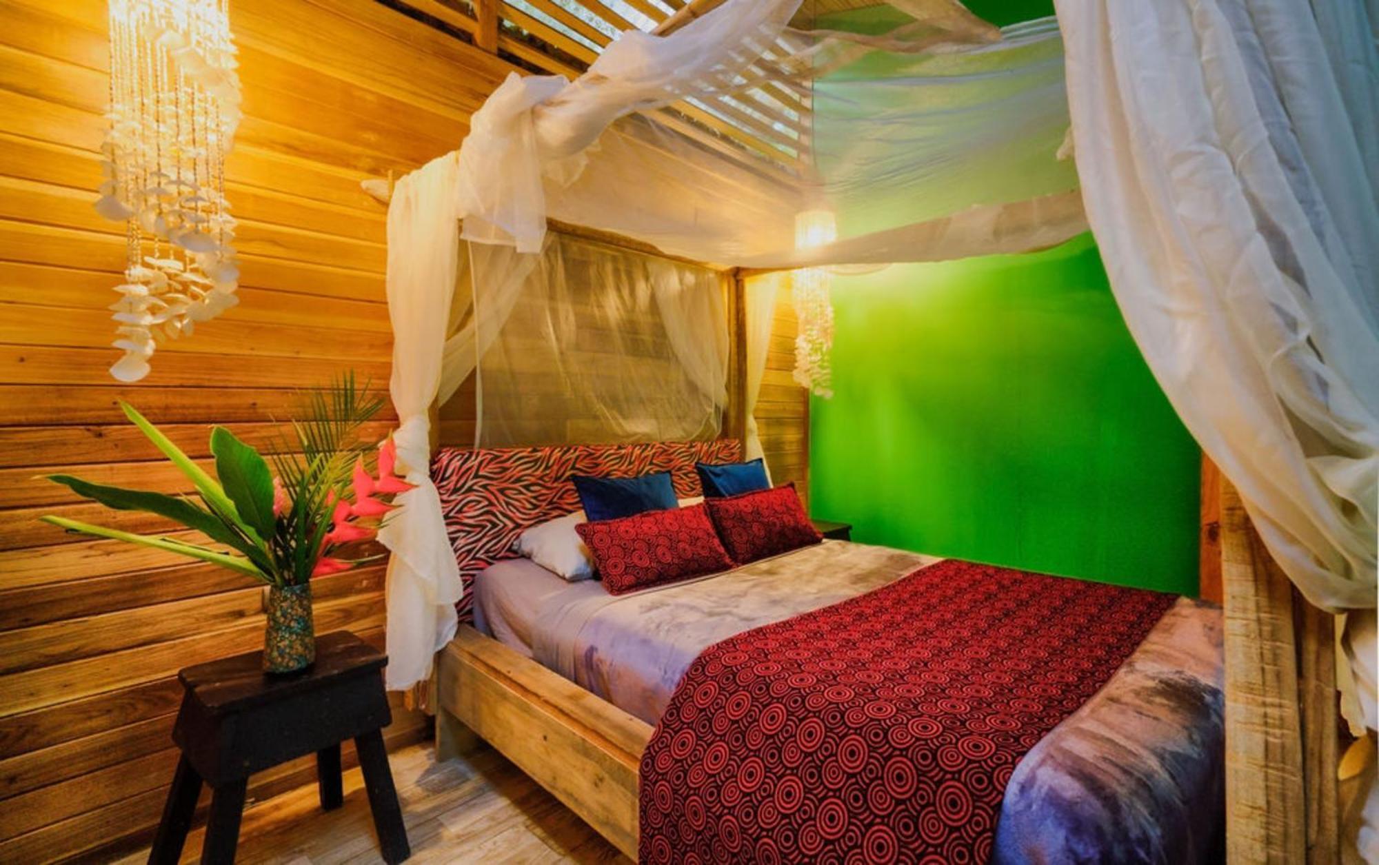 La Shamana - Ecological Concept In Jungle Villa กาอุยตา ห้อง รูปภาพ