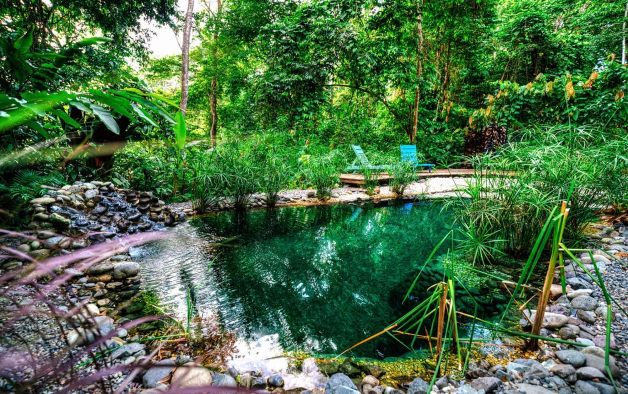 La Shamana - Ecological Concept In Jungle Villa กาอุยตา ภายนอก รูปภาพ