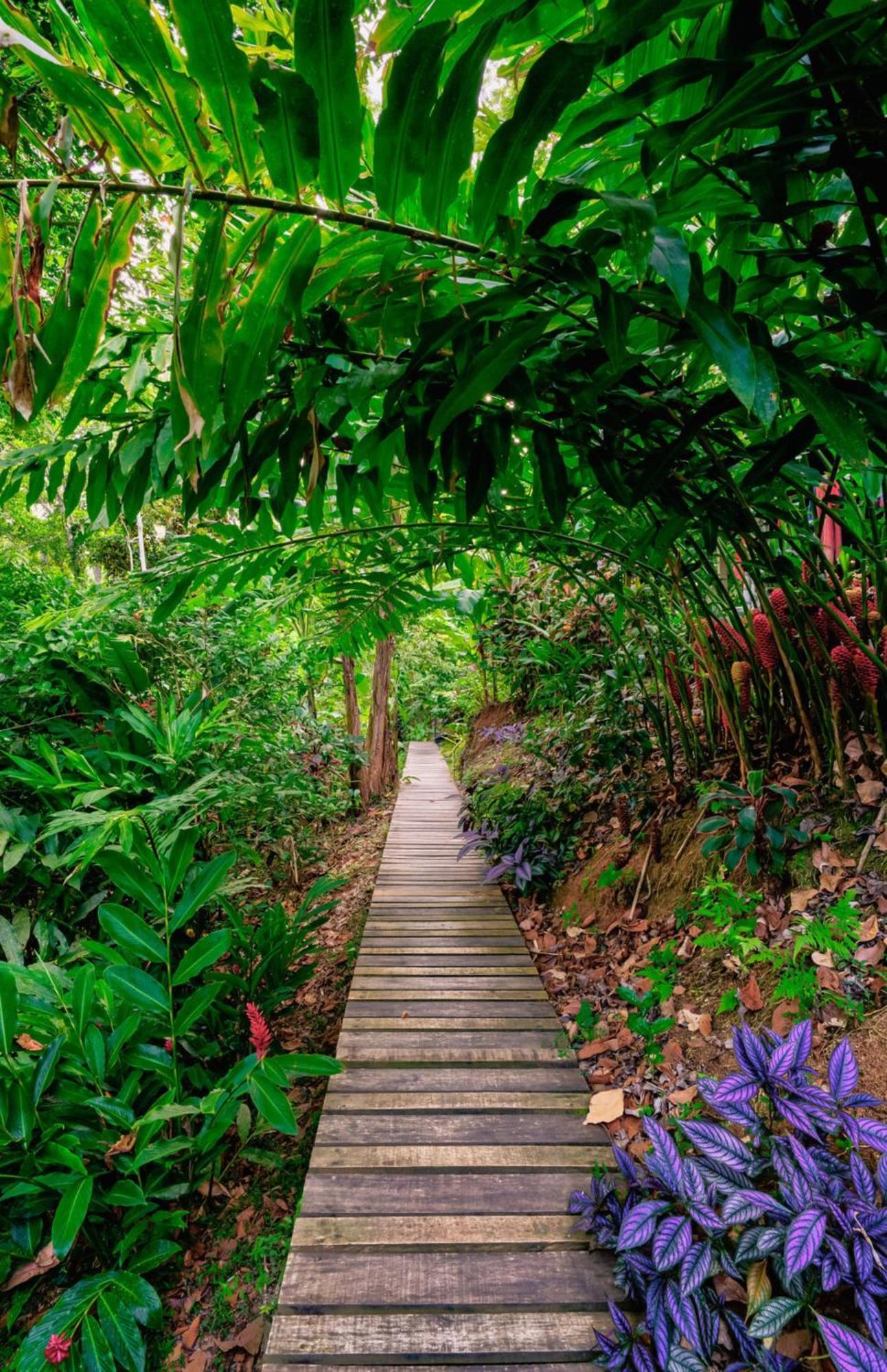 La Shamana - Ecological Concept In Jungle Villa กาอุยตา ภายนอก รูปภาพ
