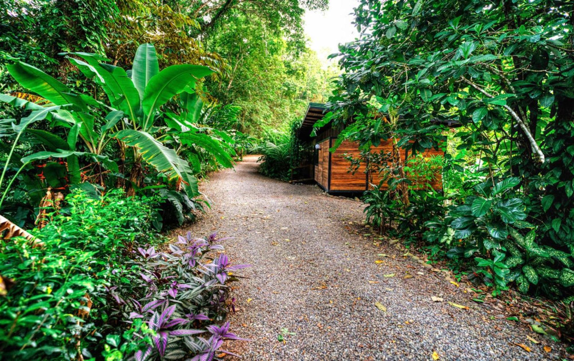 La Shamana - Ecological Concept In Jungle Villa กาอุยตา ภายนอก รูปภาพ
