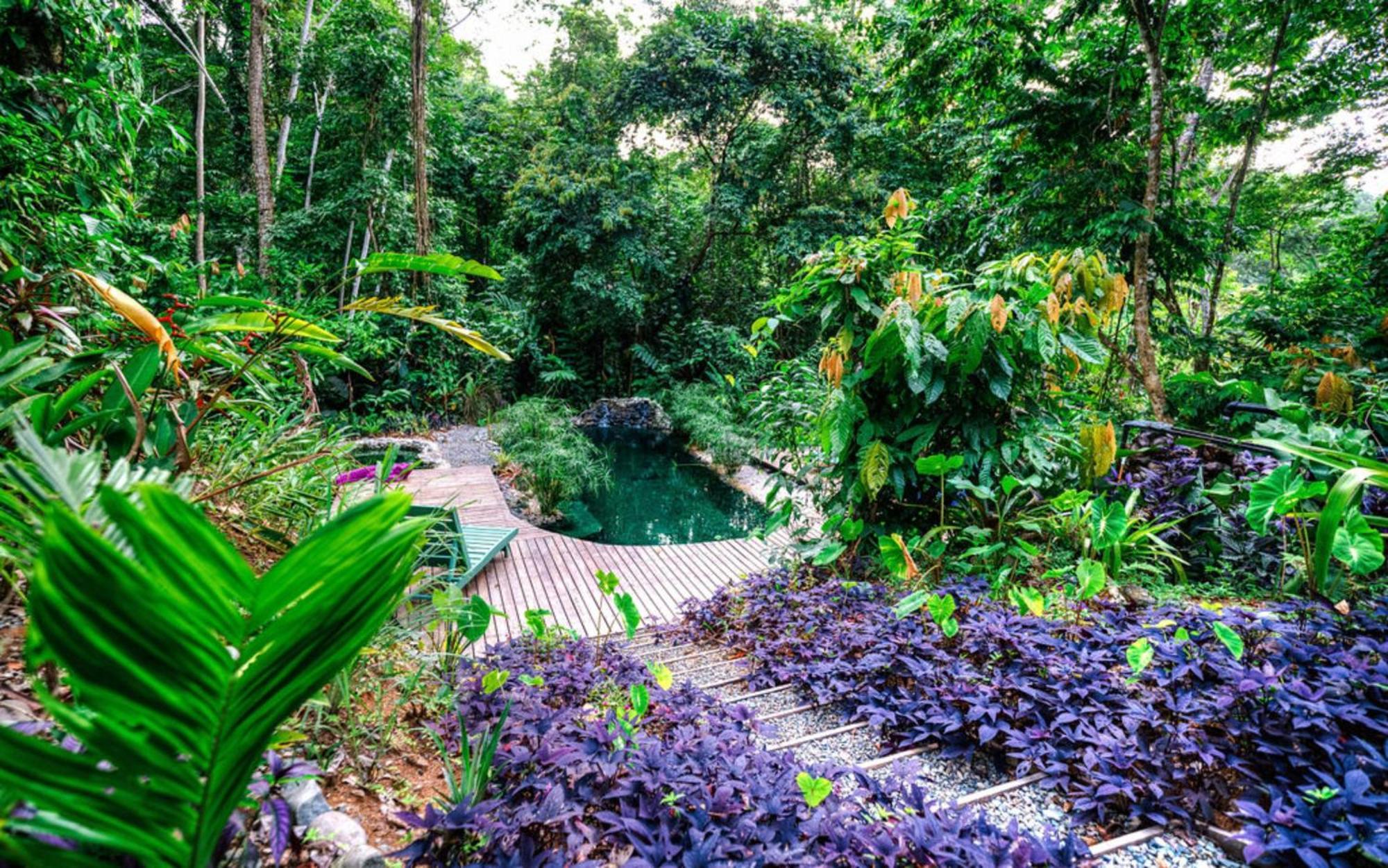 La Shamana - Ecological Concept In Jungle Villa กาอุยตา ภายนอก รูปภาพ