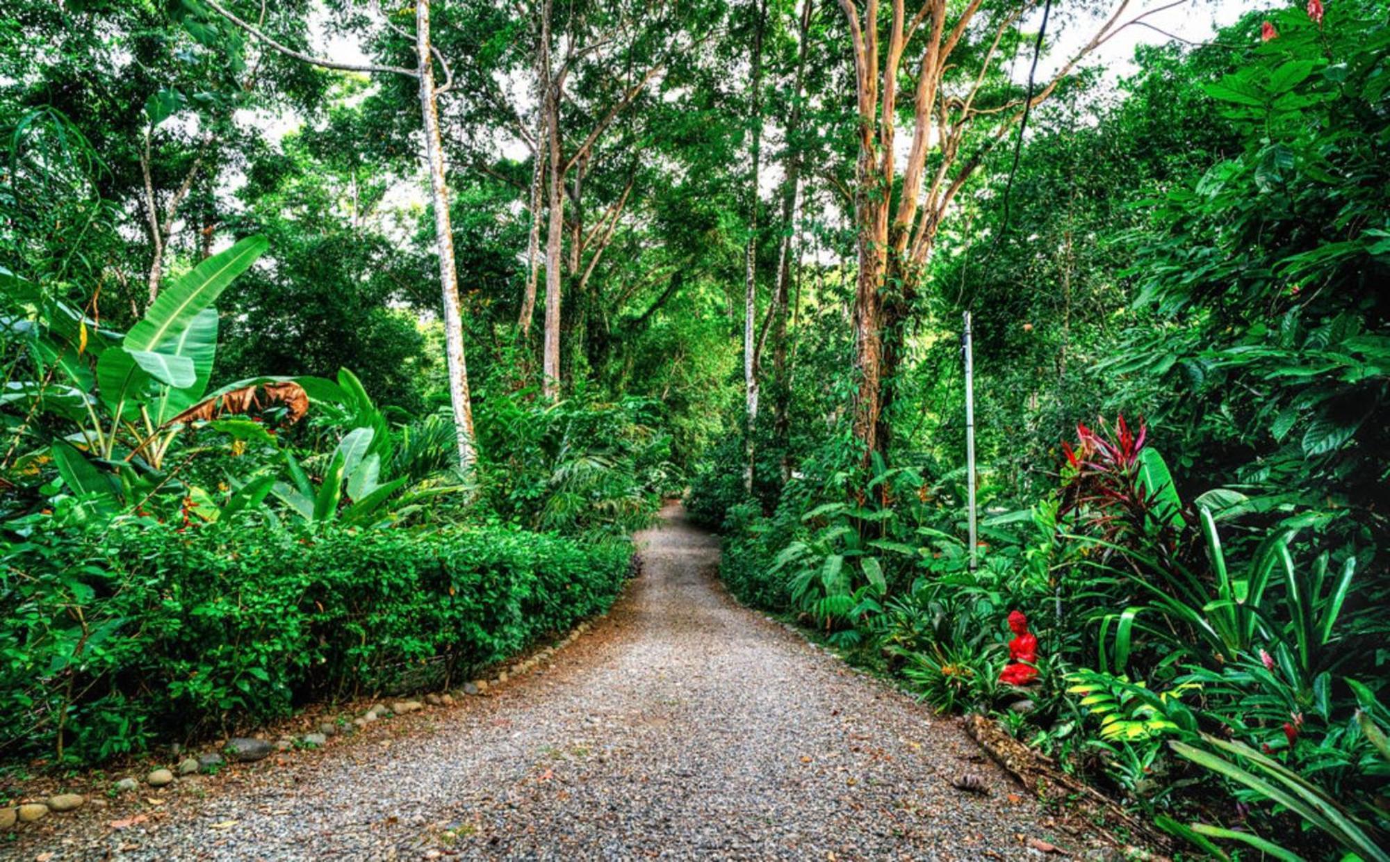 La Shamana - Ecological Concept In Jungle Villa กาอุยตา ภายนอก รูปภาพ