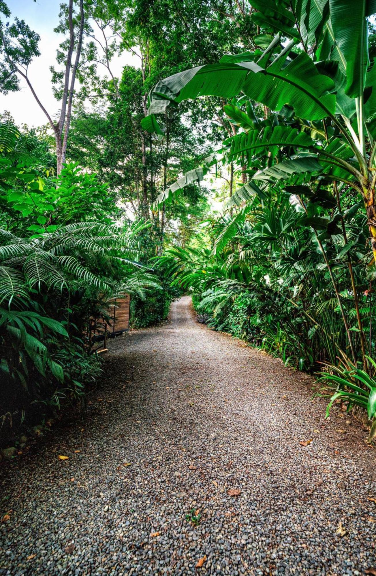 La Shamana - Ecological Concept In Jungle Villa กาอุยตา ภายนอก รูปภาพ