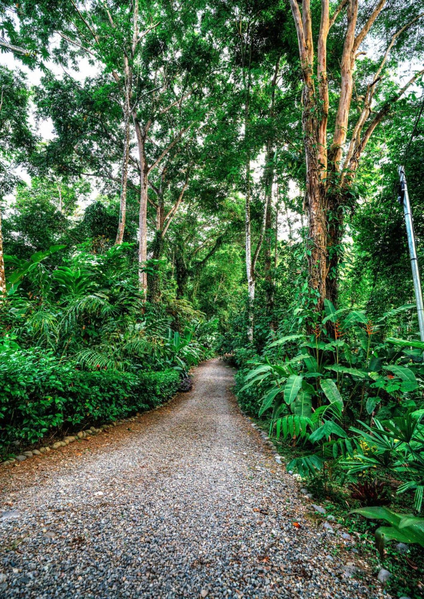 La Shamana - Ecological Concept In Jungle Villa กาอุยตา ภายนอก รูปภาพ